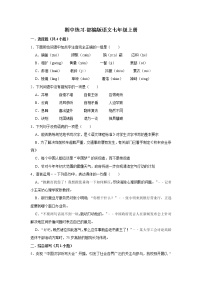 期中练习题 2022-2023学年部编版语文七年级上册 (2)(含答案)