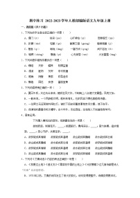2022-2023学年人教部编版语文九年级上册期中练习 (2)（含解析）