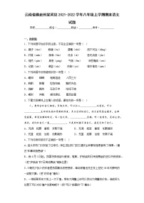 云南省德宏州梁河县2021-2022学年八年级上学期期末语文试题(含答案)
