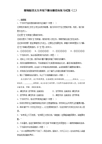 部编版语文九年级下册全册综合复习试题（二）