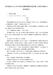 四川省各市2022年中考语文真题分题型分层汇编-12现代文阅读(小说&记叙文)