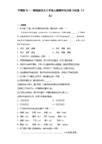 学霸复习——部编版语文七年级上册期中抢分复习试题（十九）