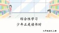 语文七年级上册综合性学习 少年正是读书时图片课件ppt