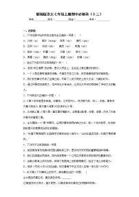 部编版语文七年级上册期中必刷卷（十三）