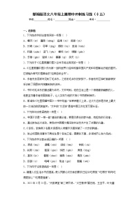 部编版语文八年级上册期中冲刺练习题（十五）