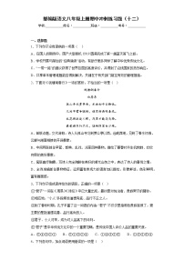 部编版语文八年级上册期中冲刺练习题（十二）