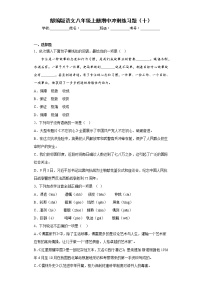 部编版语文八年级上册期中冲刺练习题（十）