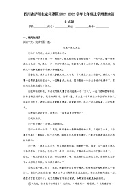 四川省泸州市龙马潭区2021-2022学年七年级上学期期末语文试题(含答案)
