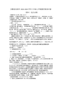 安徽省芜湖市2022-2023学年八年级上学期素质教育评估（期中）语文试卷(含答案)