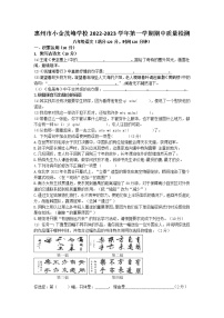 广东省惠州市小金茂峰学校2022-2023学年八年级语文上学期期中考试试卷(含答案)