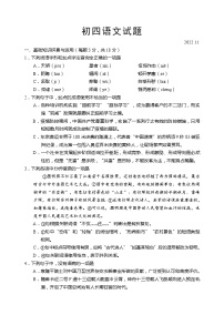 山东省淄博市桓台县2022-2023学年（五四学制）九年级上学期期中语文试题(含答案)