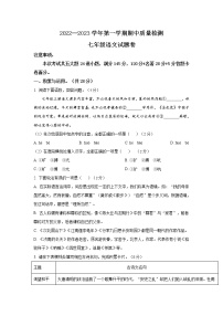 河南省驻马店市确山县2022-2023学年七年级上学期期中考试语文试题（含答案）