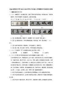 北京市师达中学2022-2023学年八年级上学期期中考试语文试卷（含答案）