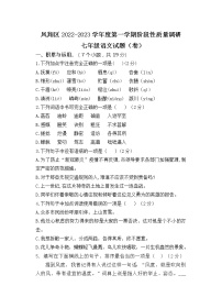 陕西省宝鸡市凤翔区2022-2023学年七年级上学期期中考试语文试题(含答案)