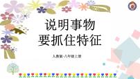 初中人教部编版写作 说明事物要抓住特征评优课课件ppt