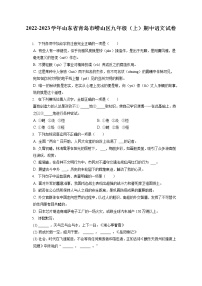 2022-2023学年山东省青岛市崂山区九年级（上）期中语文试卷（含答案解析）