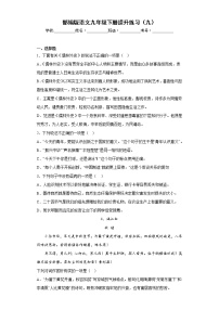 部编版语文九年级下册提升练习（九）