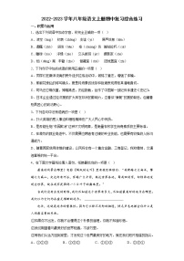 2022-2023学年部编版语文八年级上册期中复习综合练习