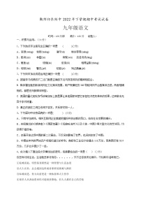 湖南省衡阳师范学院祁东附属中学2022-2023学年九年级上学期期中考试语文试题(含答案)