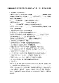 2021-2022学年河北省保定市安新县九年级（上）期末语文试卷（含答案解析）