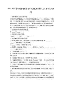 2021-2022学年河北省秦皇岛市卢龙县九年级（上）期末语文试卷（含答案解析）