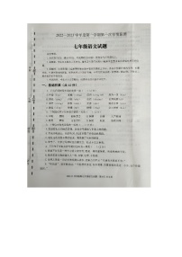 山东省济宁市金乡县2022—2023学年七年级上学期期中考试语文试题（含答案）