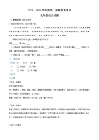 山东省枣庄滕州市2021-2022学年七年级上学期期末语文试题（解析版）