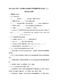 广东省佛山市南海区平洲博雅学校2022-2023学年七年级上学期期中考试语文试题(含答案)