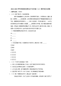 河南省安阳市第五中学2022-2023学年七年级上学期期中语文试题(含答案)