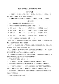 四川省内江市威远中学校2022-2023学年九年级上期期中学情调研语文试题(含答案)