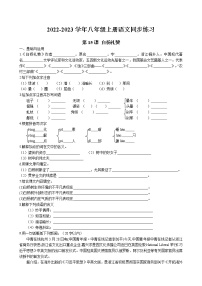 初中语文人教部编版八年级上册14 白杨礼赞同步达标检测题