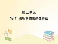 初中语文人教部编版八年级上册写作 说明事物要抓住特征精品ppt课件