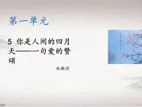 初中语文人教部编版九年级上册5 你是人间的四月天教学课件ppt