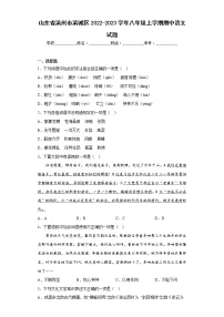 山东省滨州市滨城区2022-2023学年八年级上学期期中语文试题(含答案)