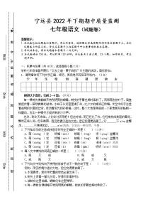 湖南省永州市宁远县2022-2023学年七年级上学期期中质量监测语文试题(含答案)
