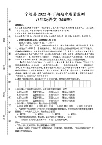 湖南省永州市宁远县2022-2023学年八年级上学期期中质量监测语文试题(含答案)