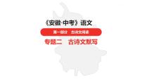 中考总复习语文古诗词曲鉴赏专题第2首  闻王昌龄左迁龙标遥有此寄课件