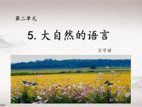 初中语文5 大自然的语言教学课件ppt