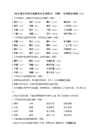 2023届中考语文高频考点专项练习：专题一 字词综合训练（A）