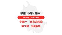 中考总复习语文古诗文阅读专题-文言文阅读12.北冥有鱼课件
