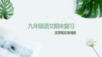 【期末专题复习】2022-2023学年 部编版语文 九年级上学期：专题06-文学类文本阅读（知识串讲）