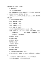 初中语文人教部编版八年级下册登勃朗峰当堂达标检测题