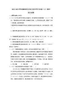 湖南省长沙市立信中学2022-2023学年八年级上学期期中考试语文试卷(含答案)