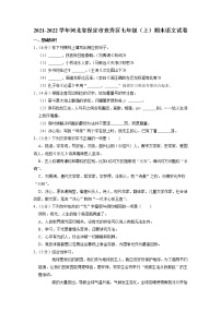 河北省保定市竞秀区2021-2022学年七年级上学期期末考试语文试卷（有答案）