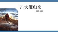 人教部编版八年级下册大雁归来课堂教学课件ppt