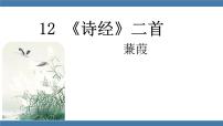 初中语文人教部编版八年级下册蒹葭教学演示课件ppt