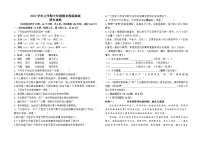 期末复习模拟卷（三）云南省昆明市2022—2023学年部编版语文七年级上册(含答案)