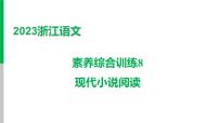 2023浙江中考语文 素养综合训练8　现代小说阅读 课件