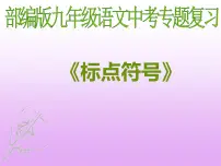 2023年中考语文专题复习-《标点符号》课件