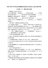 河北省邯郸经济技术开发区七色光开阳学校2022-2023学年八年级上学期期末考试语文试卷(含答案)